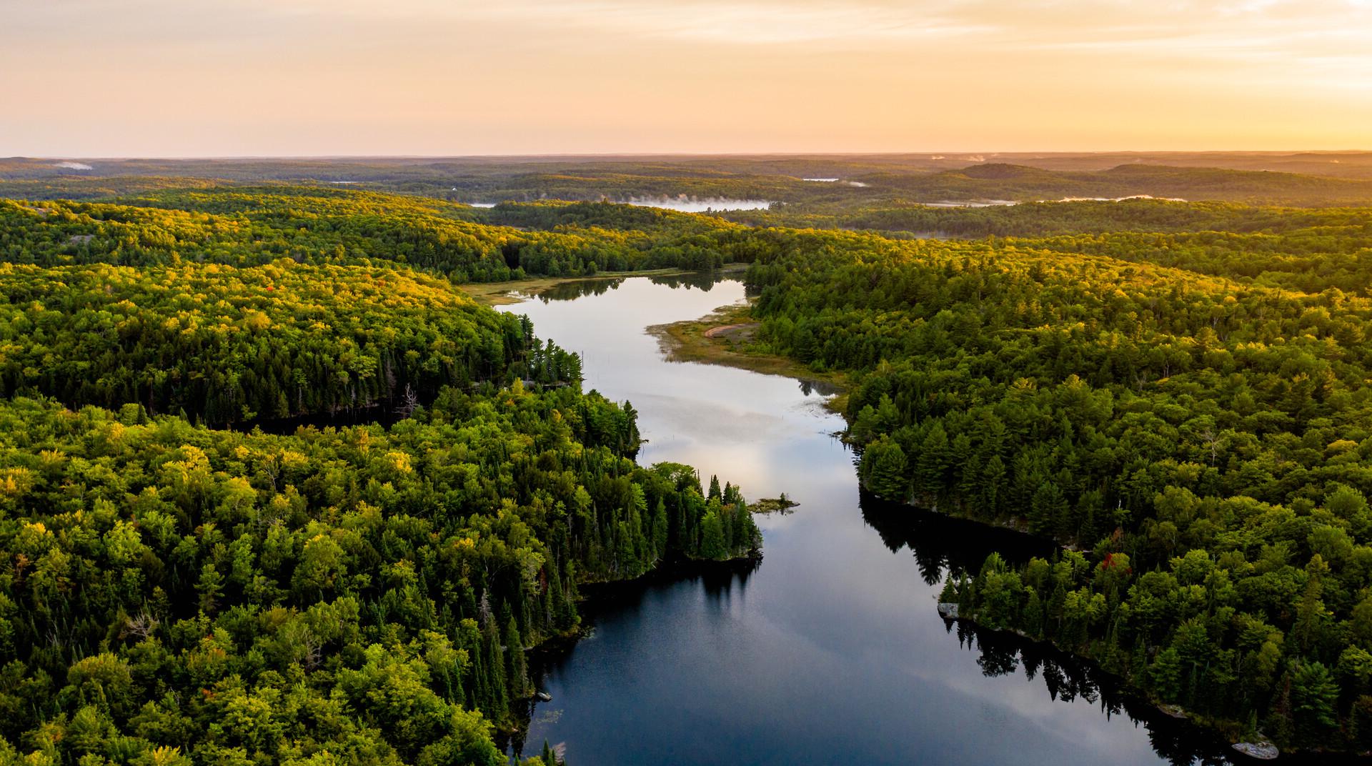 A river winding through a forest while the sun is setting. 